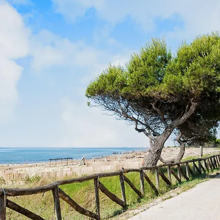 Very Comfortable Seafront