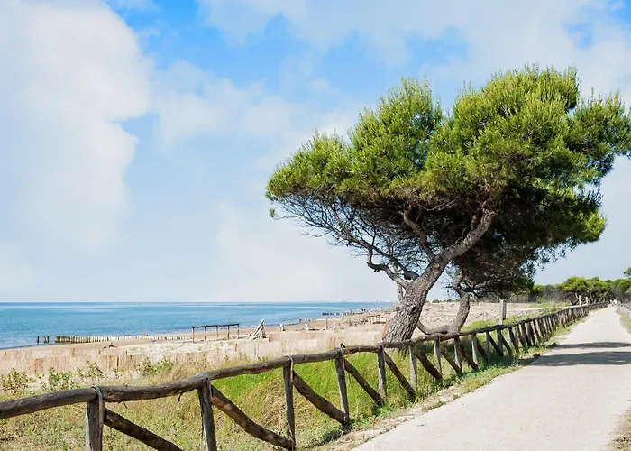 Very Comfortable Seafront